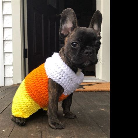 Candy Corn Dog Sweater Small Breed Crochet Dog Costume Etsy Candy