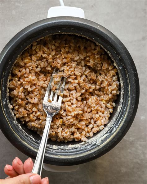 How To Cook Farro In A Rice Cooker Ekilove