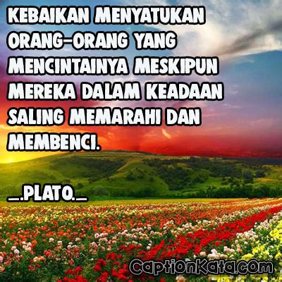 Ada berbagai cara untuk menunjukkan emosi dan. Caption DP BBM Kata Mutiara Plato, Gambar Meme Kalimat ...