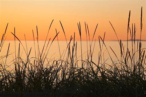 Beach Grass Sunset Photograph By Ron Ritchey Fine Art America