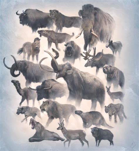 Just Some Examples Of The Lost Megafauna Of North America R