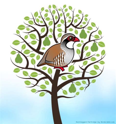 The other side is purely practical and focuses on. 12 Days of Birdorable: a Partridge in a Pear Tree in 12 ...