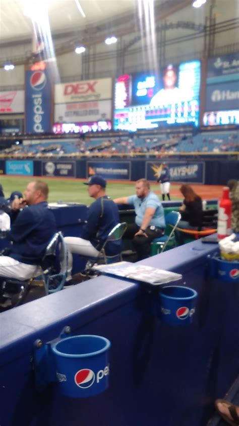 Section 130 At Tropicana Field