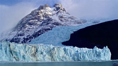 Parque Nacional De Los Glaciares Patagonia Argentina ~ El Lobo Bobo