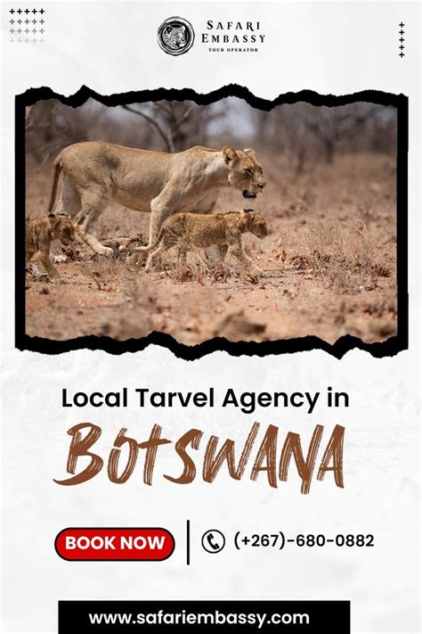 Local Travel Agency In Botswana Safari Travel Wildlife Safari Local