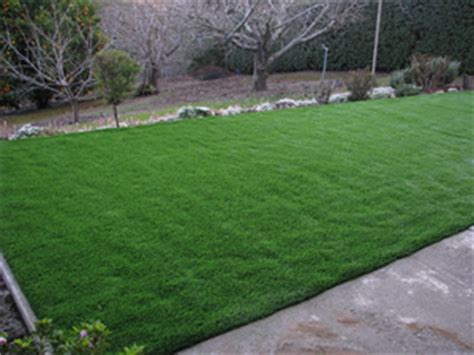When is the grass is greener festival in cairns? Concord Synthetic Grass | Artificial Lawns in Concord, CA