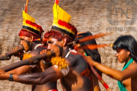 Índios Kalapalos Tocando Flautas Uruá No Ritual Kuarup Na Aldeia Aiha No Parque Indígena Do
