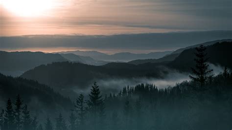 Nature Landscape Trees Forest Pine Trees Mountain Norway Mist Sunrise Hill Clouds