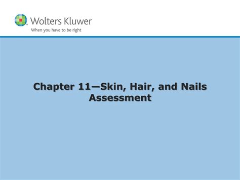 Ppt Chapter 11— Skin Hair And Nails Assessment Powerpoint