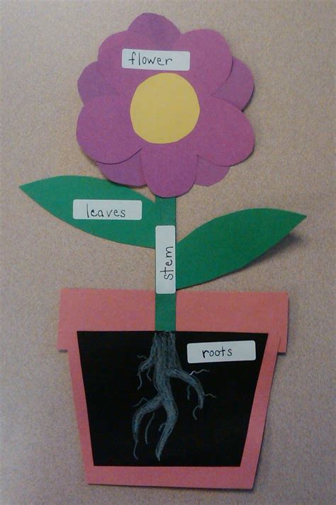 Plants And Animals In The Springtime Preschool Activities Plant