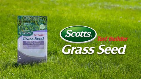 How To Use Scotts® Turf Builder® Grass Seed Youtube