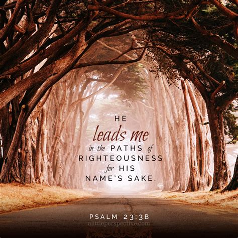 Psalm 23 Paths Of Righteousness