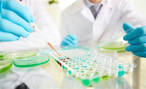 biochemical test stock image image of glassware close 17345873