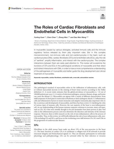 Pdf The Roles Of Cardiac Fibroblasts And Endothelial Cells In Myocarditis