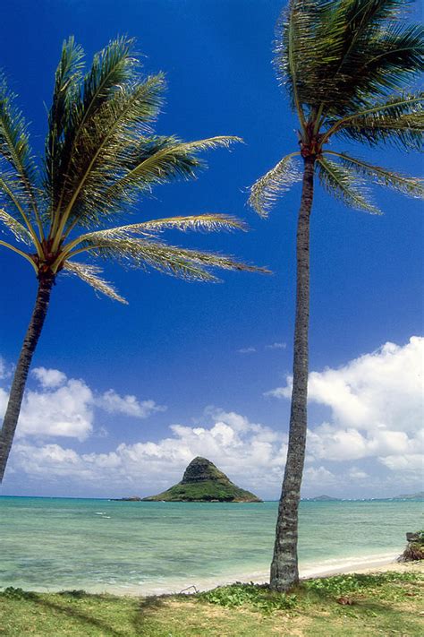 View Of A Bay With Palm Trees Kaneohe Bay Oahu Hawaii Photograph By