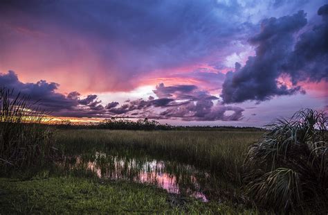 A Brilliant Everglades Sunset Photograph By Rachel Cash