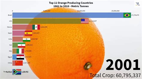 Top 11 Orange Producing Countries Youtube