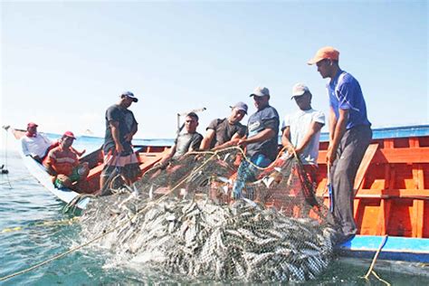 Frente De Pescadores Simón Bolívar Presenta Plan De Pesca Continental