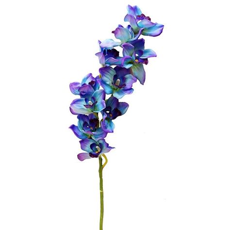 The Complete Guide To Purple Wedding Flowers Purple Flower Names Artofit