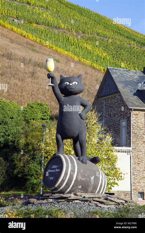 17 Top Photos Black Cat Wine Germany Encrypted Tbn0 Gstatic Com