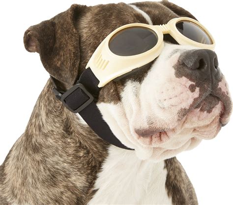 Doggles Originalz Dog Goggles Chrome Large