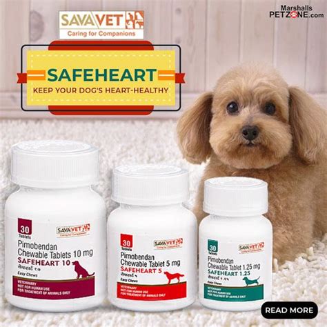 How Is Safeheart Medicine Used For Dogs Medication For Dogs Dogs