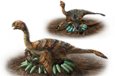 ¿cómo Hacían Los Grandes Dinosaurios Para Incubar Sus Huevos