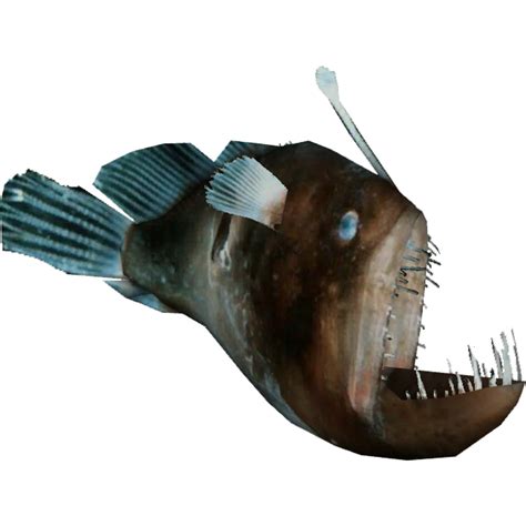 Humpback Anglerfish Whalebite Zt2 Download Library Wiki Fandom