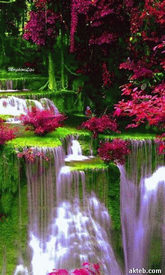 صور شلالات Beautiful Waterfalls Beautiful Landscapes Beautiful Nature