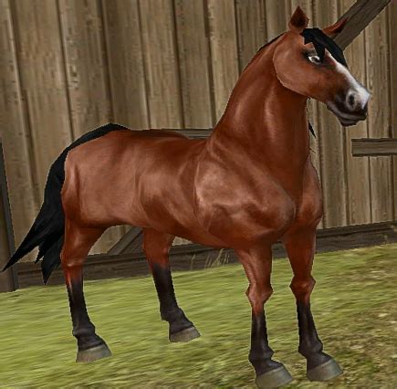 Maybe you would like to learn more about one of these? Cheval de Selle Francais | Star Stable Wiki | FANDOM ...