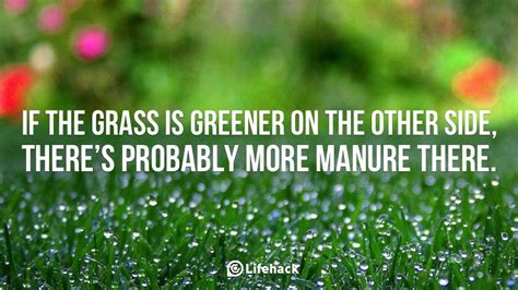 Is The Grass Greener On The Other Side Green Quotes Grass