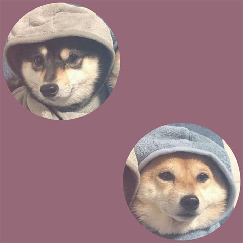 Matching Pfp Aesthetic Best Friend Profile Pictures