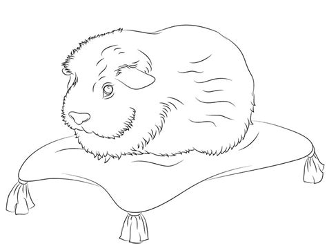 Dibujos para colorear: Cuy imprimible, gratis, para los niños y los adultos