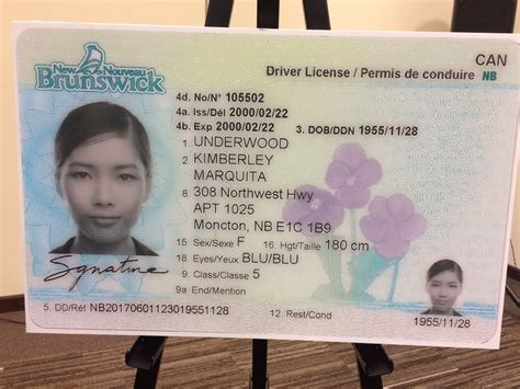 Nick Moore в Twitter New New Brunswicks Brand New Drivers Licence