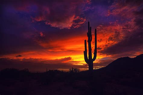 A Red Hot Sonoran Sunset Photograph By Saija Lehtonen Pixels