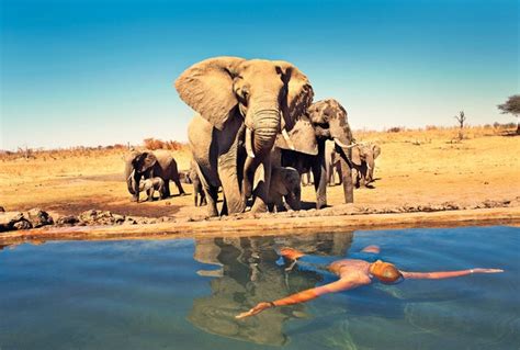 Safaris And Resorts In Zimbabwe Condé Nast Traveler