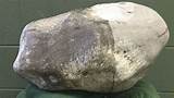 93-pound Petoskey stone to be displayed in Detroit