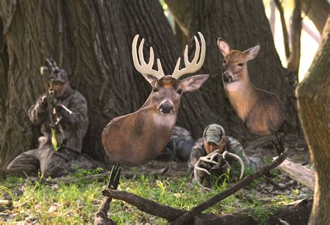 Heads Up Decoy Whitetail Pre Rut Tactics For Early Season Success