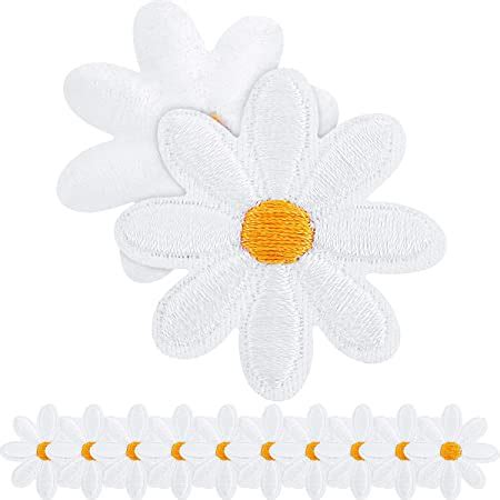Amazon Com Simplicity Multicolor Daisy Flowers Applique Clothing Iron