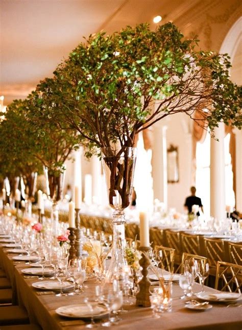 Drought stress also leads to weak, brittle branches, especially while the tree is young. Not flowers, but ginormous green branches - BEAUTiful ...