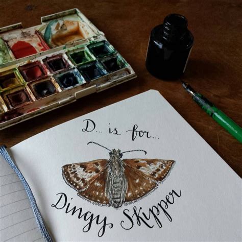 D Is For Dingyskipper A Butterfly Found On Woodland Edges And In