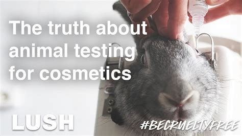 Animal Testing For Cosmetics Facts And Figures