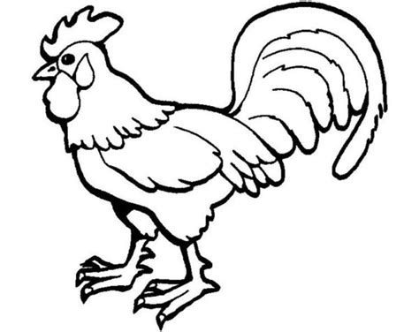 510 gambar ayam goreng kartun hitam putih gratis terbaru gambar. Gambar Ayam Mewarnai - Puspasari