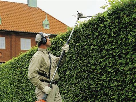 Since we can't all be edward scissorhands, here are the best hedge trimmer products on the market to keep your lawn fresh this summer. The 5 Best Pole Hedge Trimmers | Dengarden