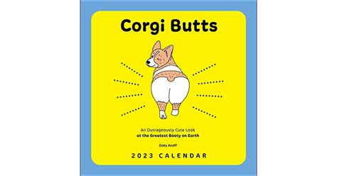 Corgi Butts 2023 Wall Calendar An Outrageously Cute Look At The Greatest Booty On Earth By Zoey