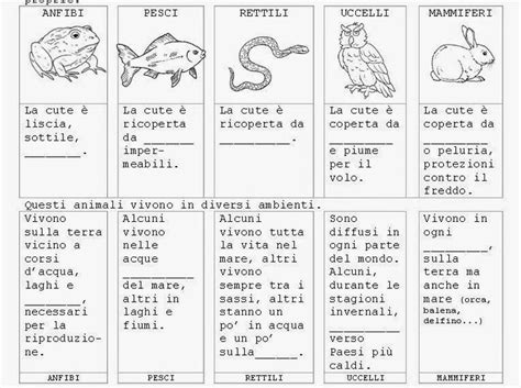 Scienze mentre sono via | Scienza, Lezioni di scienze, Classe di scienze