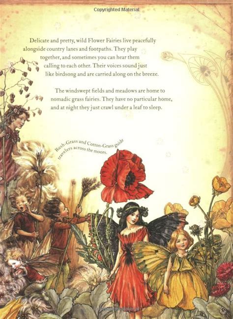 The Girls Book Of Flower Fairies Cicely Mary Barker 9780723262732