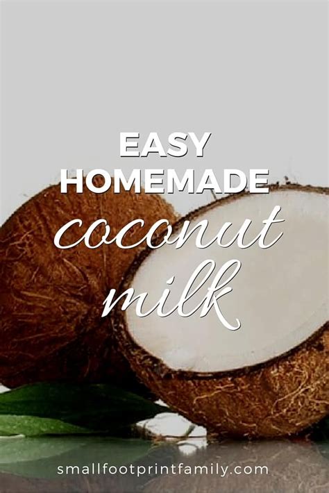 To Save Money And Resources You Can Make Fresh Coconut Milk Using Dry Shredded Coconut Click