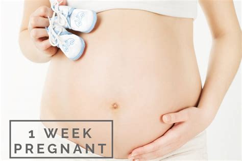 Week By Week Pregnancy First Trimester And Its Stages