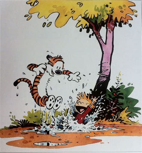 Fun To Play Calvin And Hobbes By Bill Watterson From The Complete